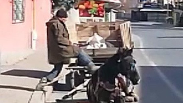 Kayseri'de sahibi tarafından yorgunluktan yere çöken at önce kırbaç ardından tekmelendi