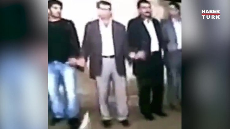 Kediler de halay çeker!