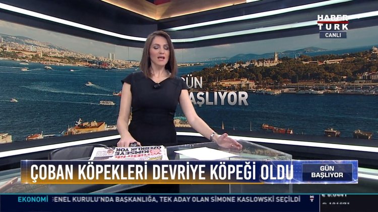 Çoban köpekleri devriye köpeği oldu: 11 Kangal ve 4 Akbaş Polis devriye köpeği oldu