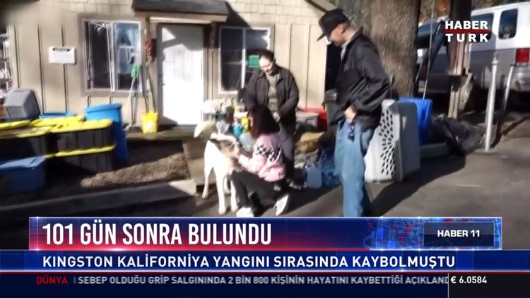 101 gün sonra bulundu: Kıngston Kaliforniya yangını sırasında kaybolmuştu