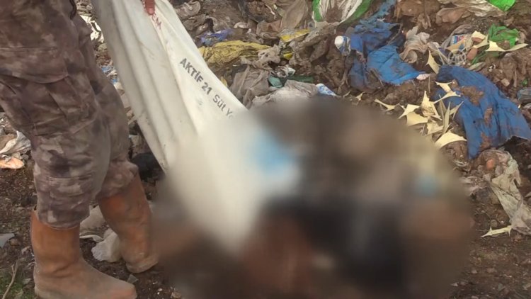 Kırklareli'nde çöplükten kan donduran vahşet çıktı