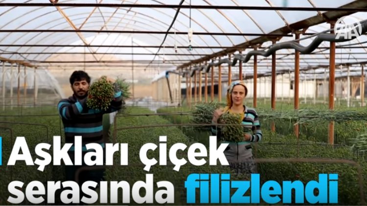 Aşkları çiçek serasında filizlendi