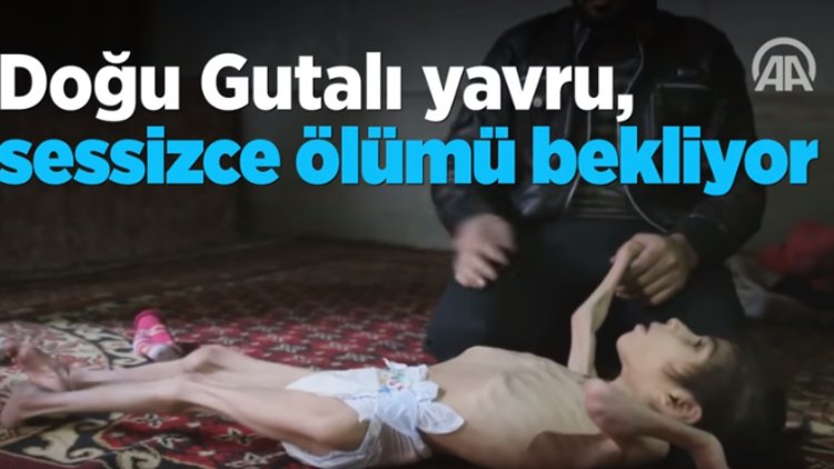 Doğu Gutalı yavru, sessizce ölümü bekliyor