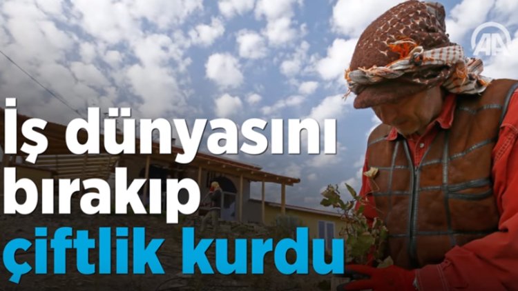 İş dünyasını bırakıp çiftlik kurdu