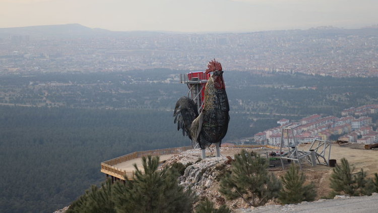 Dünyanın en büyük horoz heykeli için rekor başvurusu