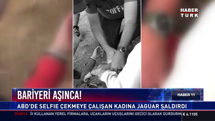 Selfie çekeyim derken, jaguar saldırısına uğradı!