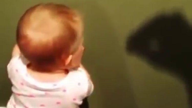 Kendi gölgesinden korkan bebek