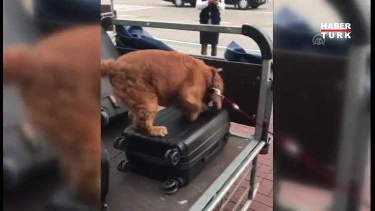 Uyuşturucu tacirinden polise: "Kebap yemeye geldik!"