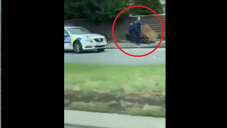 Yeni Zellanda'da camiye silahlı saldırıda bulunan kişinin yakalanma anı