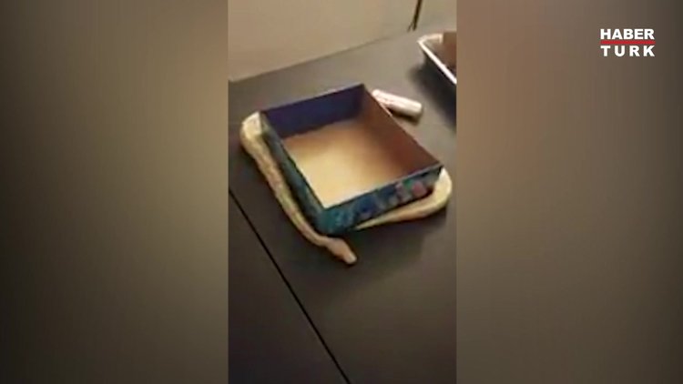 Yılan oynayan yılan