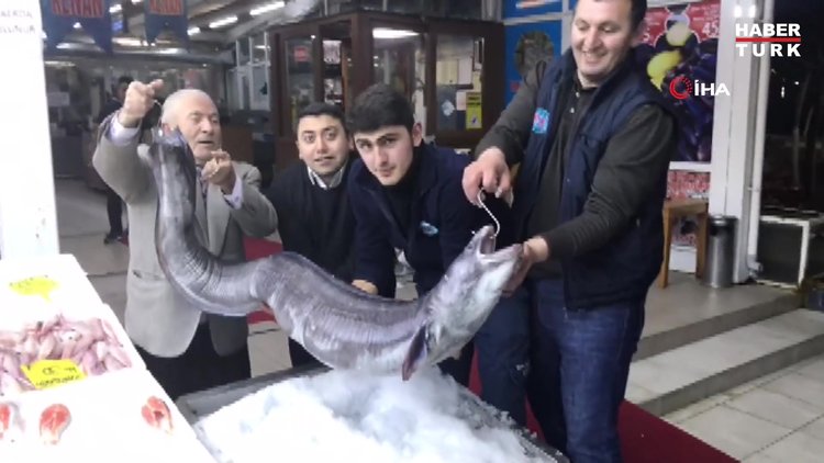 3 metre boyundaki dev yılan balığı görenleri hayrete düşürdü