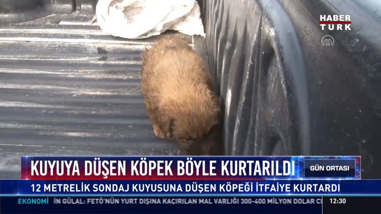 Kuyuya düşen köpek böyle kurtarıldı: 12 metrelik sondaj kuyusuna düşen köpeği itfaiye kurtardı