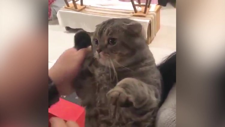 Bir telefon uzağınızda