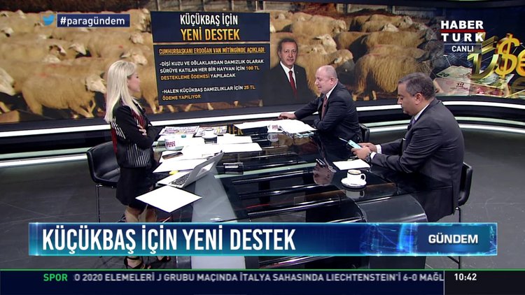 Küçükbaş için yeni destek