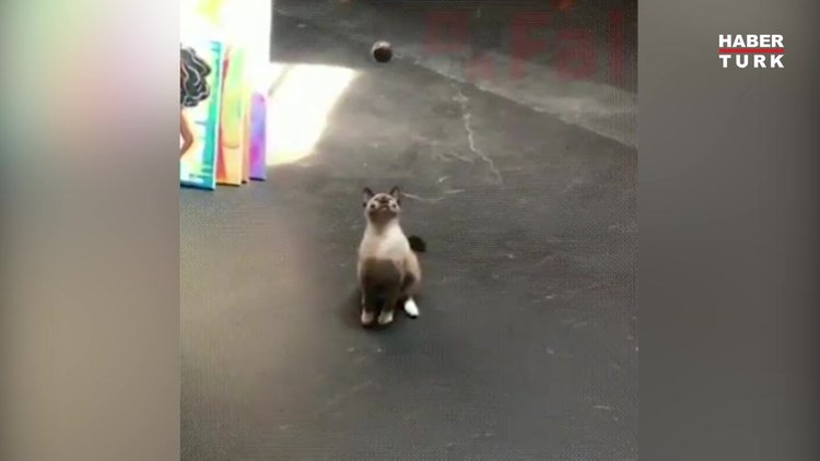 Sebepsizce topun yüzüne düşmesini izlemek