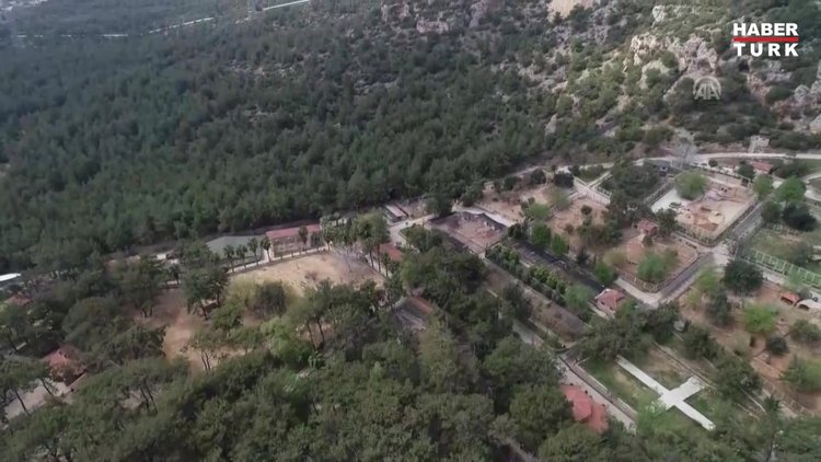 "Firari kurt" ormanlık alanlarda aranıyor