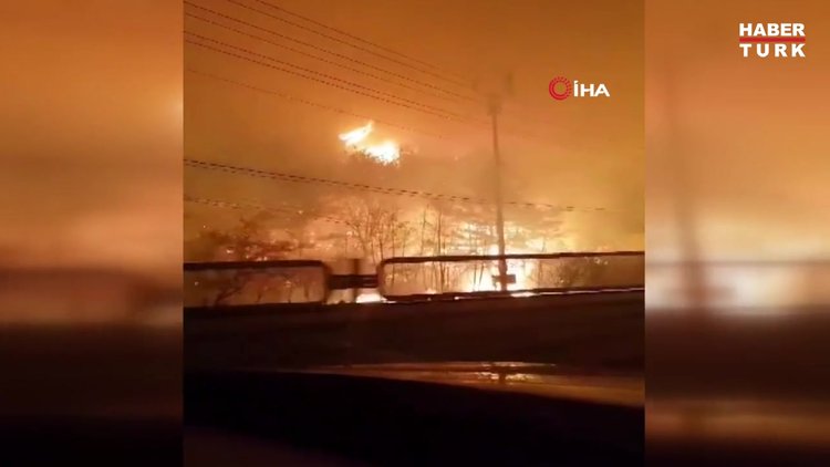 Güney Kore'de ulusal felaket!