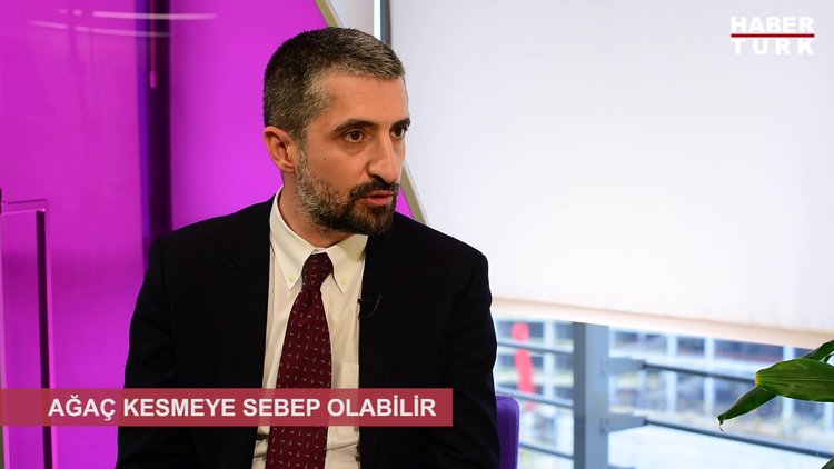Ağaç kesmeye sebep olabilir
