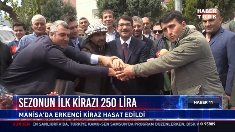 Sezonun ilk kirazı 250 lira: Manisa'da erkenci kiraz hasat edildi