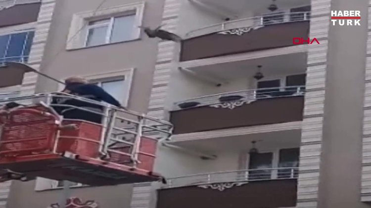 Ayağından bağlanan güvercin, 5 katlı binadan sarkıtıldı