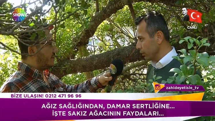 Sakız ağacının faydaları neler?