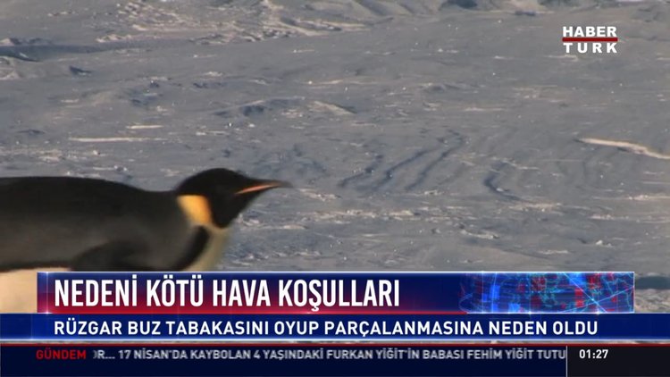 Nedeni kötü hava koşulları: Rüzgar buz tabakasını oyup parçalanmasına neden oldu