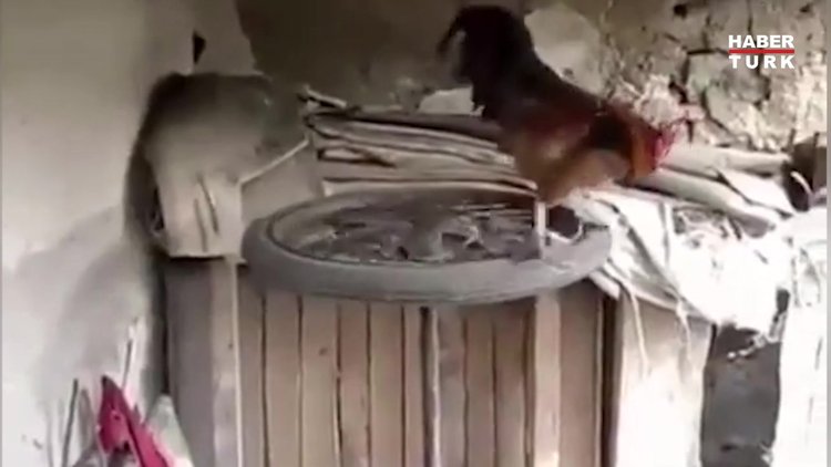 Sabah sporu önemlidir