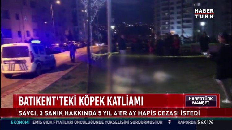 Ankara'da köpek katliamıyla ilgili 5 kişi hakkında dava