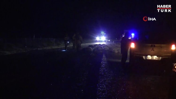 Gercüş'te araçlar koyun sürüsüne daldı: 5 kişi yaralandı, çok sayıda koyun ise telef oldu