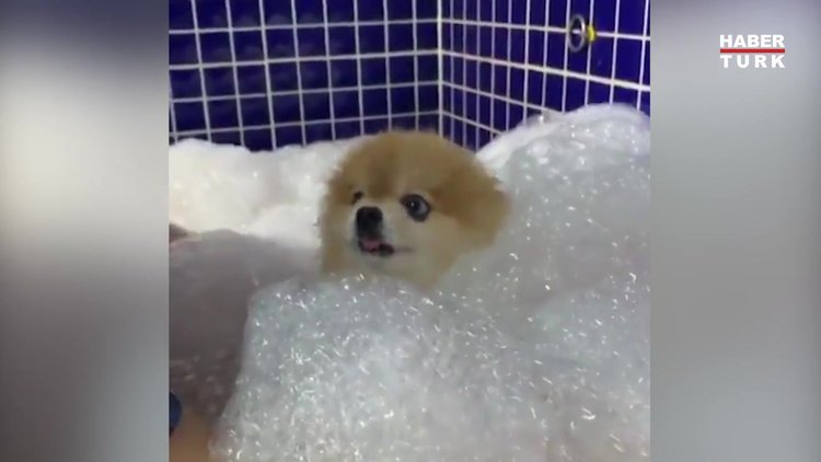 Köpük banyosu iyi gelmiş görünüyor