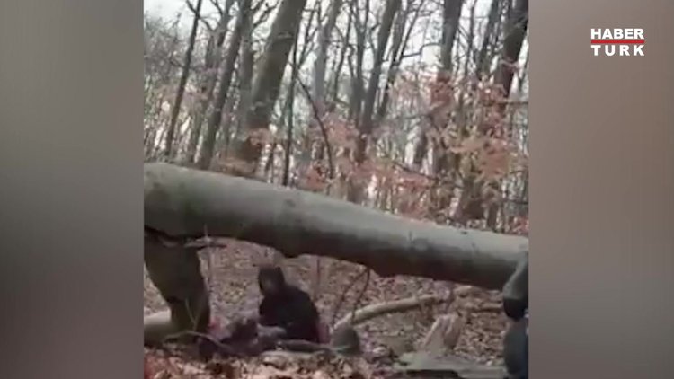 Domino taşı misali devrilişler