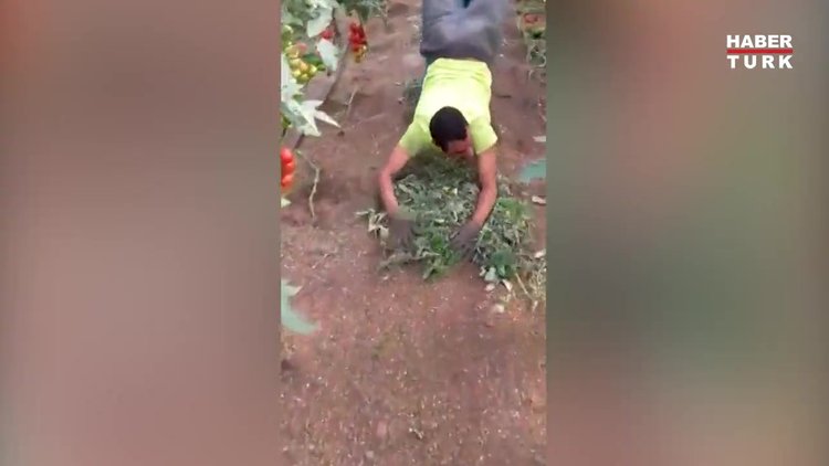 Teknolojide çareler tükenmez