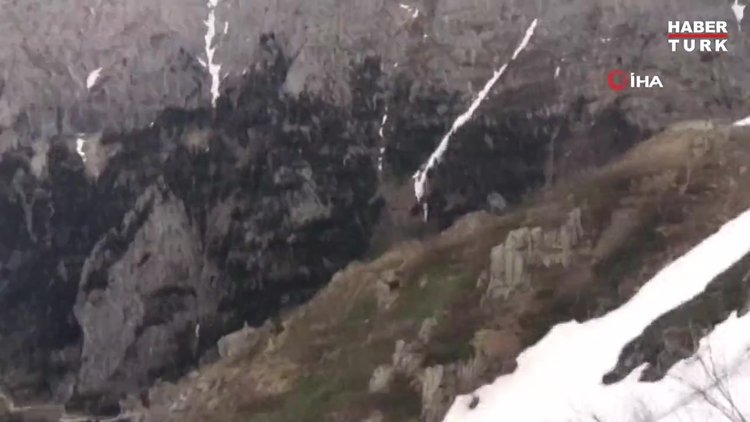 Uçurumdan düşen AA muhabiri aranıyor