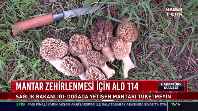 Mantar zehirlenmesi için Alo 114