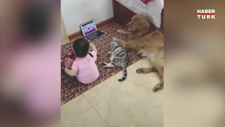 Pijama partisi verip çizgi film izliyorlar