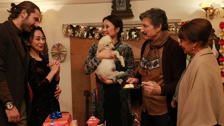 Yuvaya Dönüş Fragman