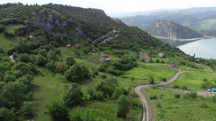 Kayıp Ecrin'i arama çalışmaları durduruldu