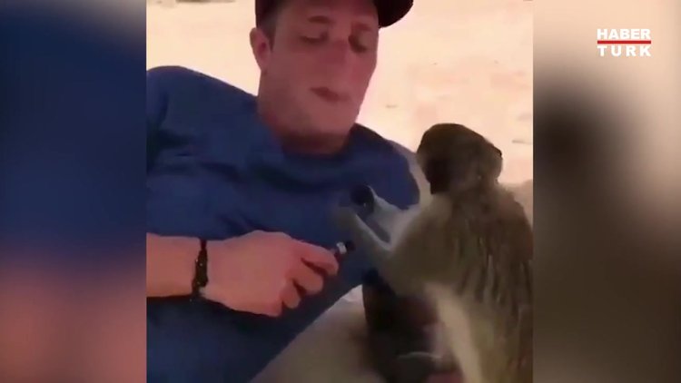 Sahibi aklını başından aldı