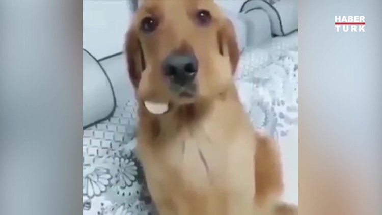 Bir şeyler saklamakta zorlandı gibi