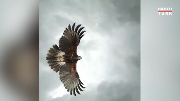 Ağır çekim uçuşun muazzamlığı