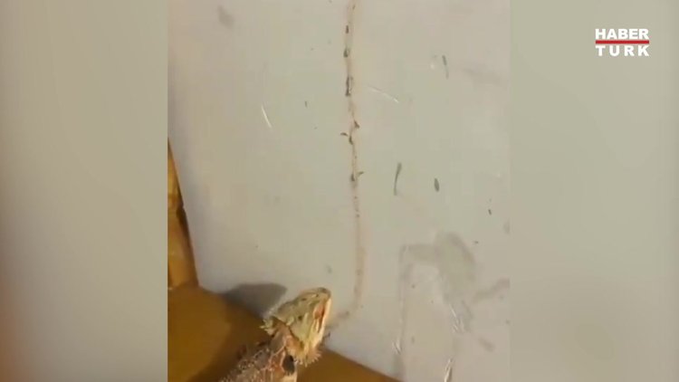 Açık büfe bulmuş