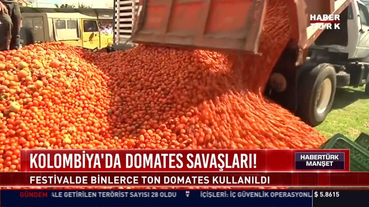 Kolomiya'da domates savaşları