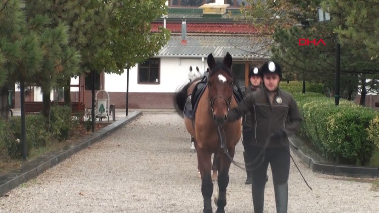 Belgrad Ormanı'na atlı koruma