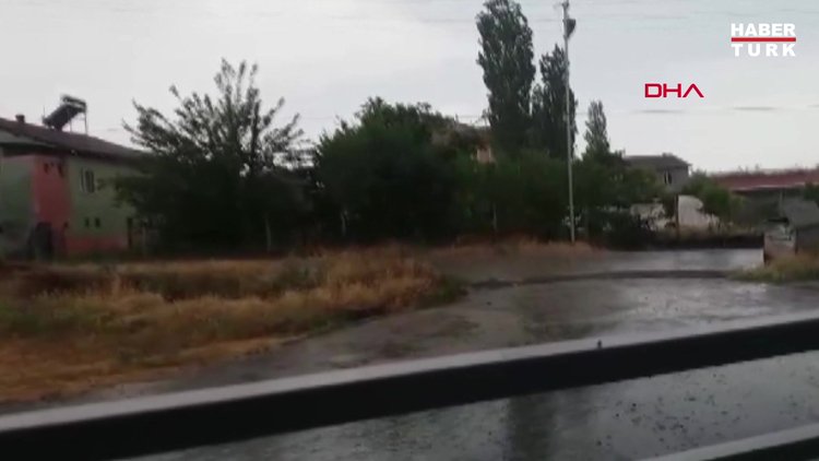 Yıldırım isabet eden ağaç alev topuna döndü