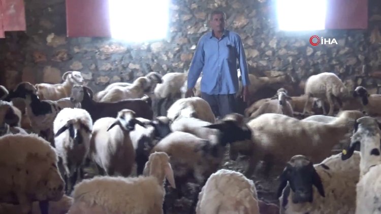 Köpek kuduz çıktı, köy karantinaya alındı