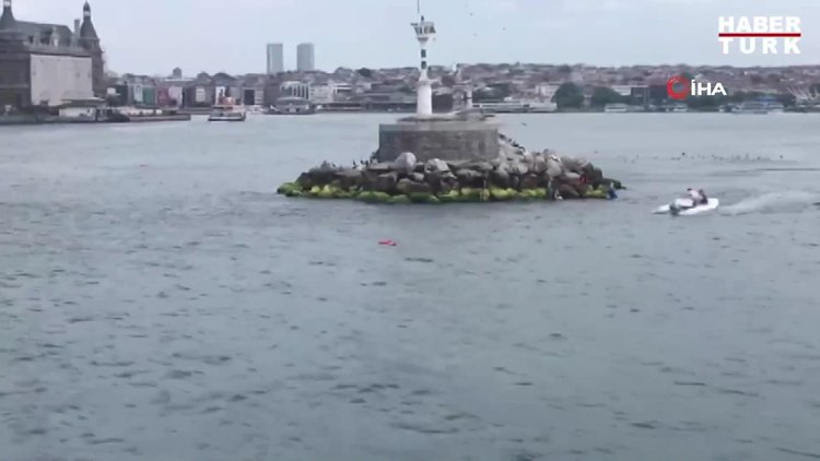 Haydarpaşa açıklarında hareketli anlar!