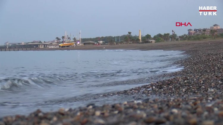 Antalya'da tarla gibi sürülen caretta caretta kumsalında 50 yuva yok oldu