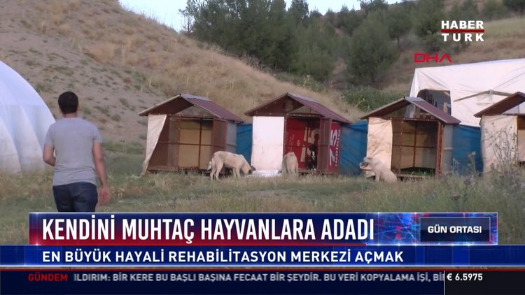Kendini muhtaç hayvanlara adadı