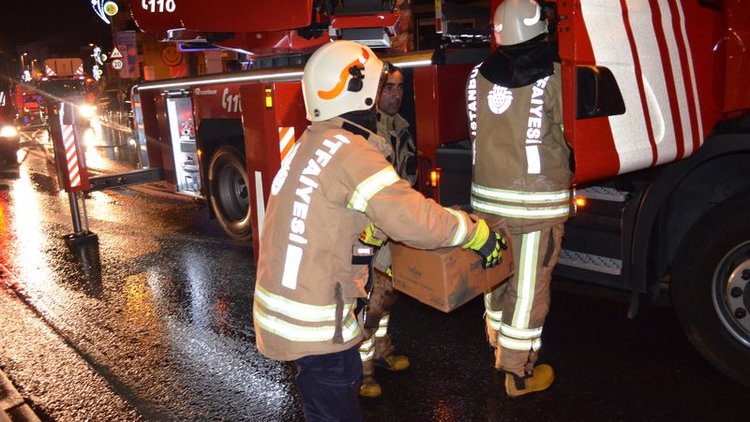 İstanbul'da iş yeri yangını! Mahsur kalan yavru kedi kurtarıldı