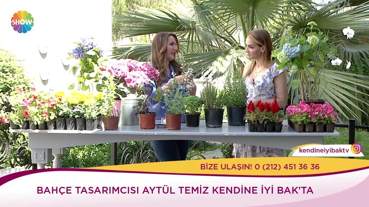 Soda bitkilere nasıl fayda sağlar?